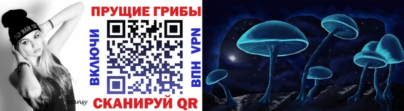 Псилоцибиновые грибы Psilocybine cubensis  закладка  Улан-Удэ 